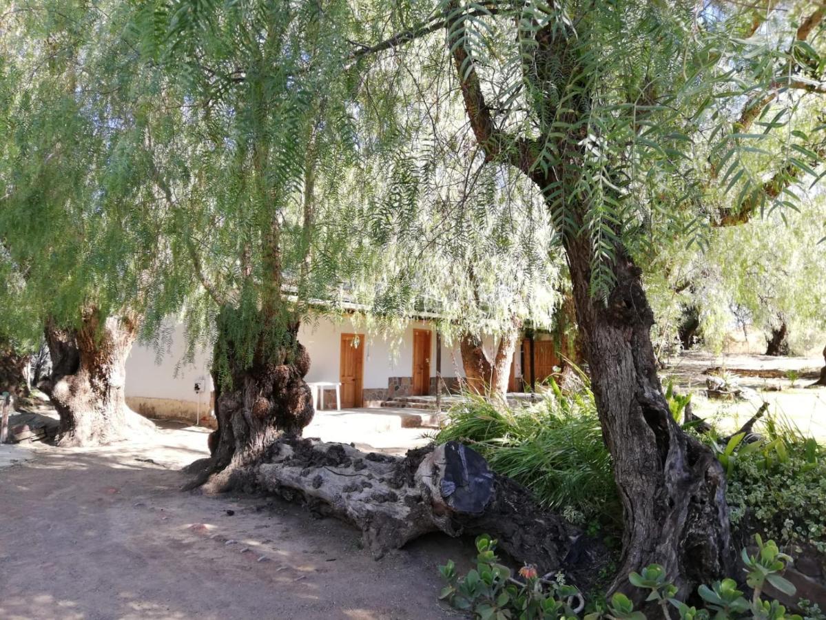 Hotel Doornfontein Guest Farm à Cradock Extérieur photo